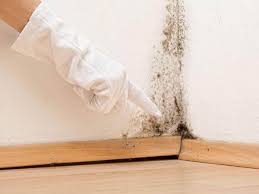 Trusted Sulphur, OK Mold Prevention & Removal  Experts